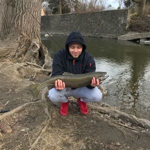 Meet your Posher, Oleg